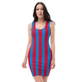 Crimson & Navy Blue Stripe Dress