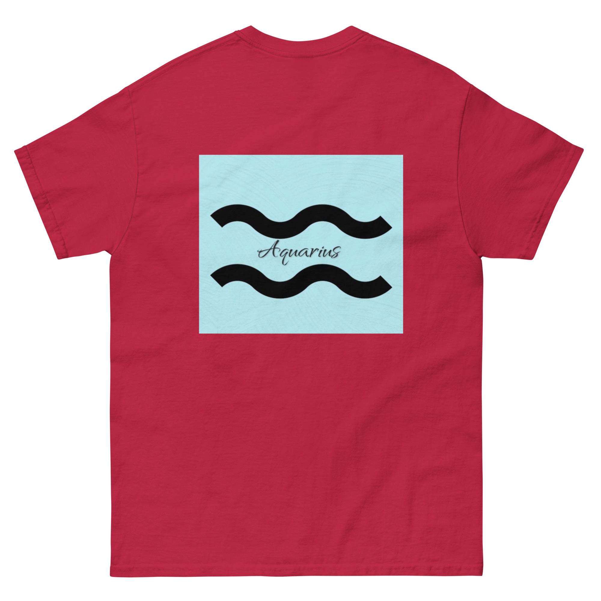 Aquarius T-Shirt