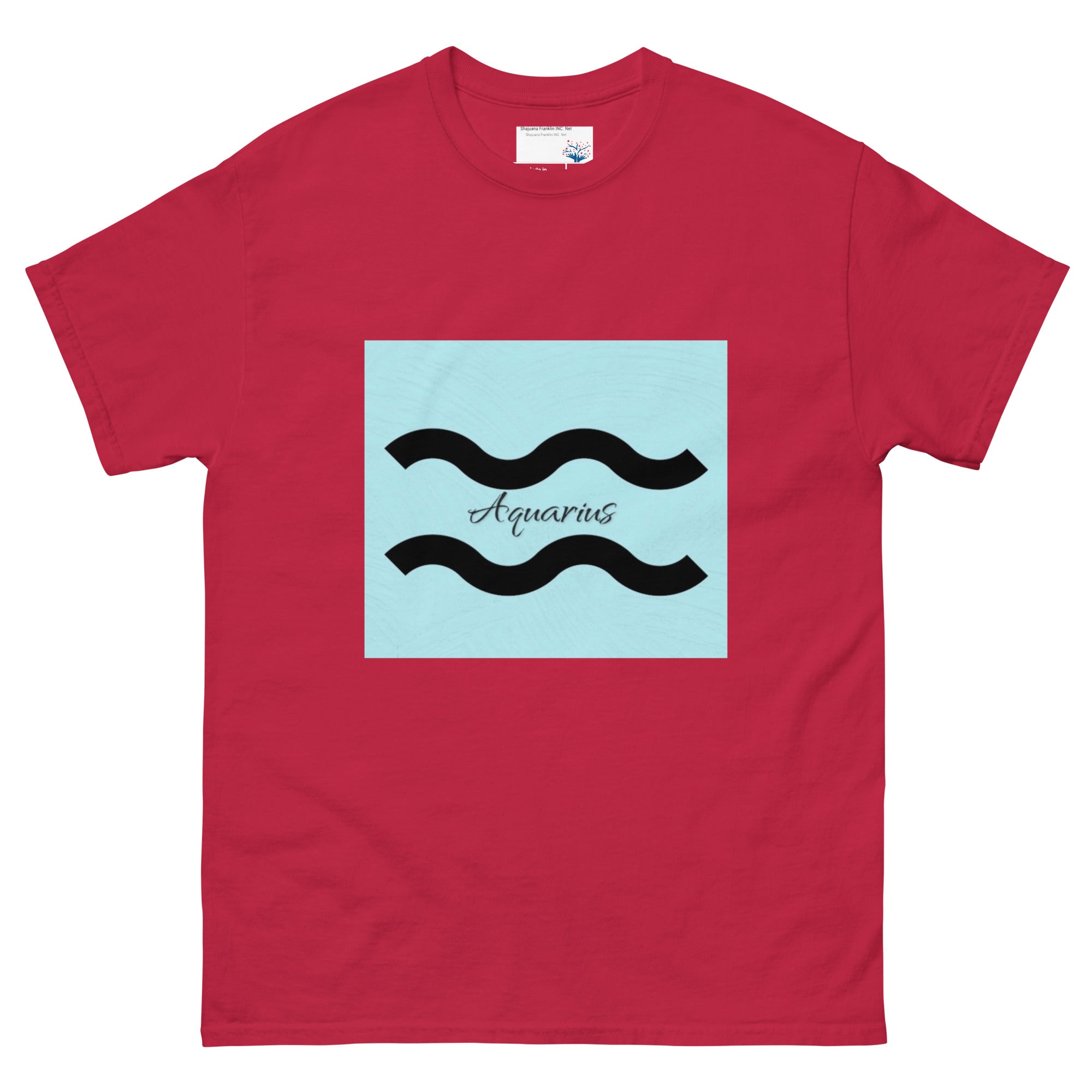 Aquarius T-Shirt