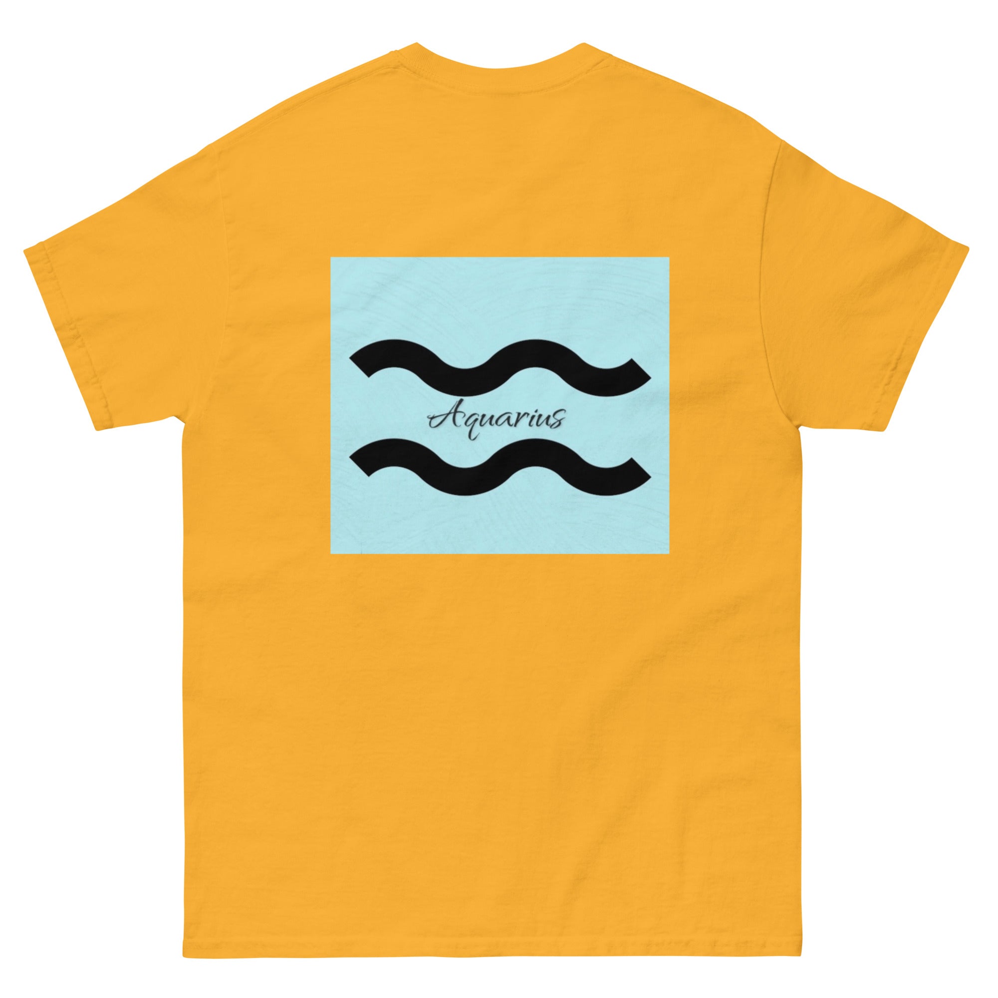 Aquarius T-Shirt