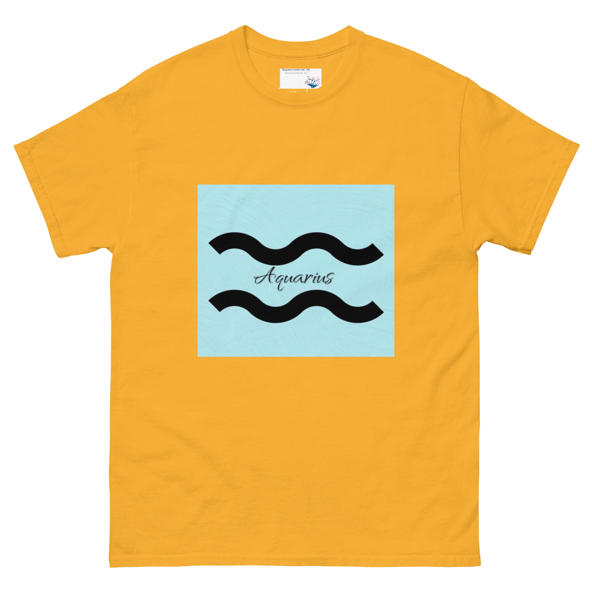 Aquarius T-Shirt