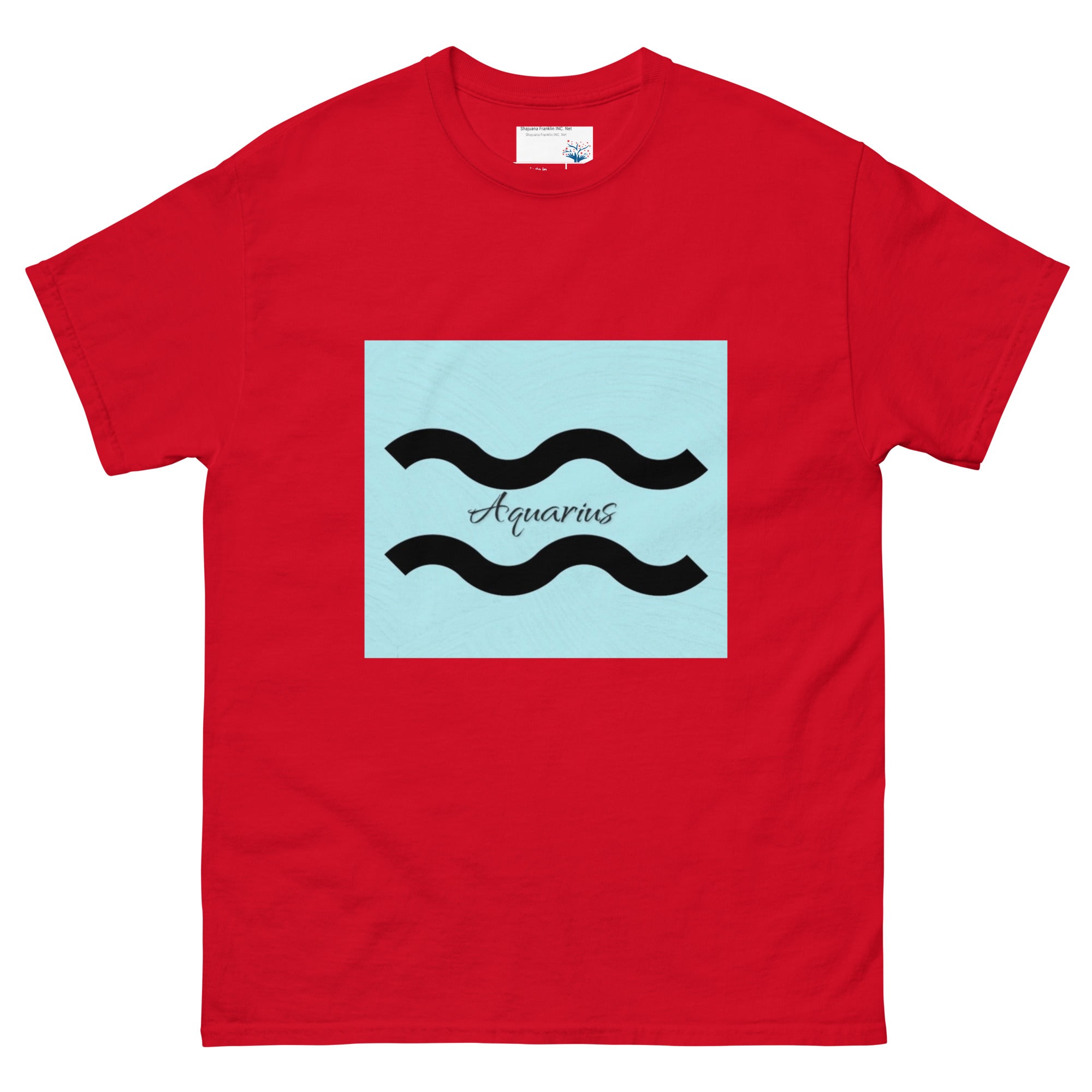 Aquarius T-Shirt